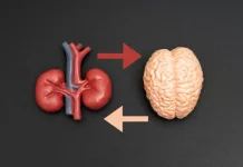 Saat Mata Terpejam, 5 Organ Ini Justru Tetap Menjalankan Tugasnya