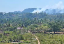 Kabut Asap Selimuti Biak, BPBD Imbau Gunakan Masker