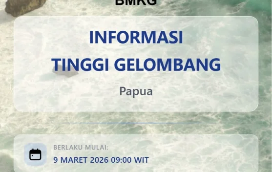 BMKG Keluarkan Peringatan Dini Gelombang 1,25–2,5 Meter di Sejumlah Perairan Papua