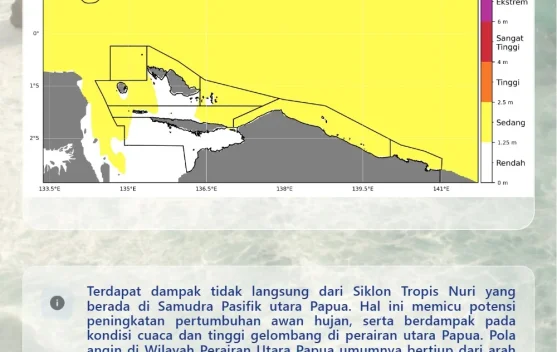BMKG: Dampak Siklon Nuri Picu Gelombang hingga 2,5 Meter di Perairan Utara Papua