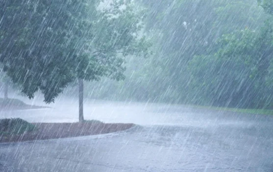 BMKG: Peringatan Dini Hujan Sedang hingga Lebat di Sejumlah Wilayah Papua