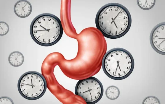 Fakta Menarik tentang Lambung saat Berpuasa