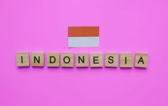 Bahasa Indonesia Resmi Menjadi Bahasa ke-57 Vatican News