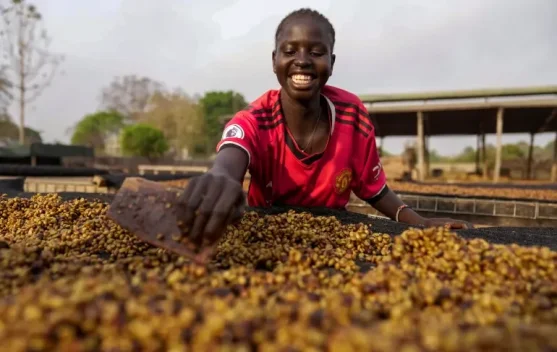 Jelajahi 193 Negara, Pria Ini Temukan Kopi Terenak di Sudan, Afrika Timur