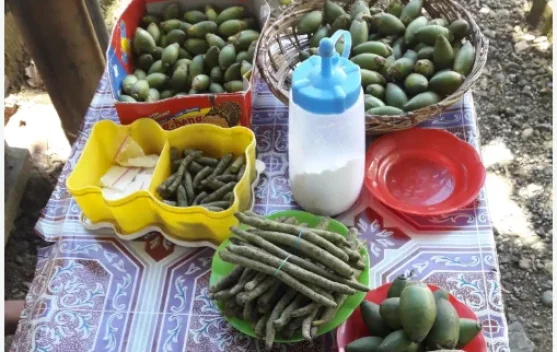 Tradisi Nusantara: Perujak, Cara Tradisional Merawat Gigi ala Sumbawa