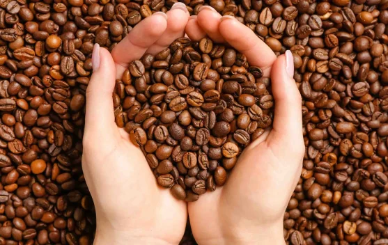 Rasa Nusantara Mendunia: 2 Kopi Indonesia Masuk Top 5 2026