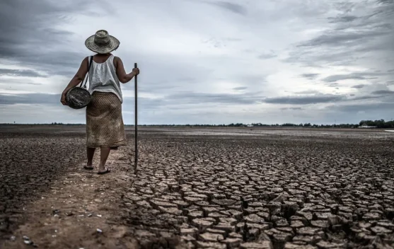 Ancaman El Nino Berdampak Perubahan  Iklim Global