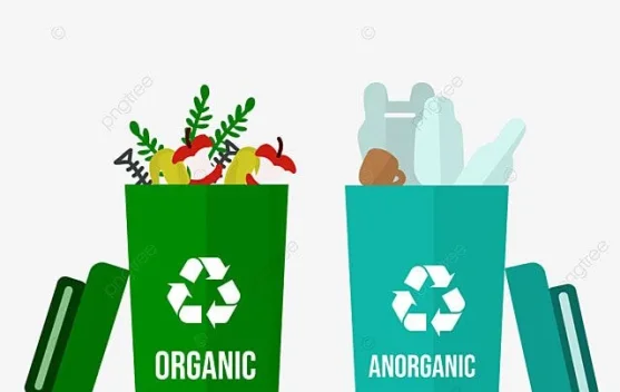 Mengenal Jenis Sampah Rumah Tangga dan Cara Mengelolanya