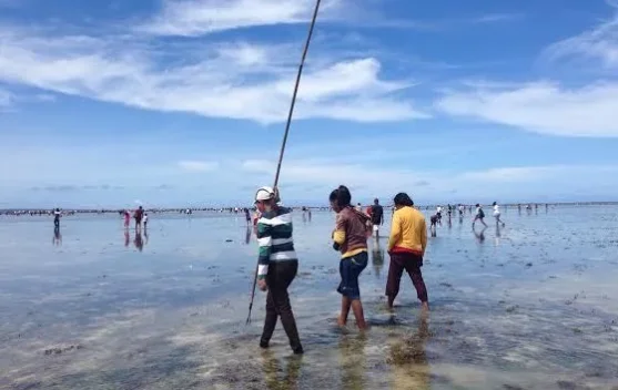 Festival Biak Munara Wampasi  Warisan Budaya Biak