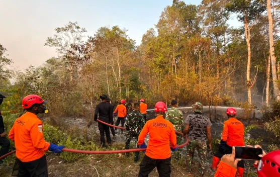 Karhutla di Biak Numfor,SAR Siagakan Puluhan Personel