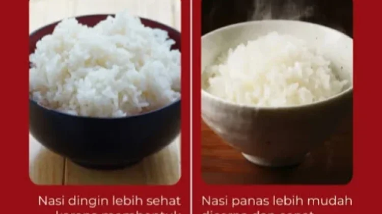 Nasi Hangat vs Nasi Dingin, Mana yang Lebih Sehat?