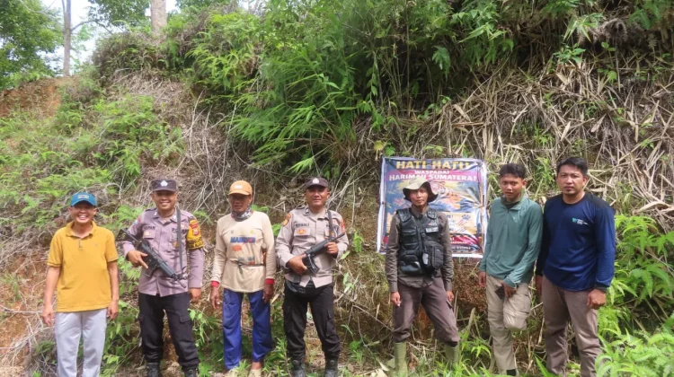 Harimau Muncul, BKSDA Pasang Imbauan di Muara Sahung