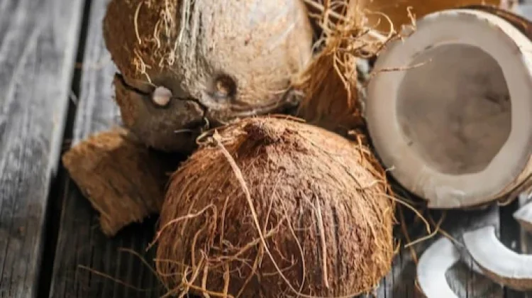 Potensi Ekonomi dan Lingkungan dari Limbah Batok Kelapa