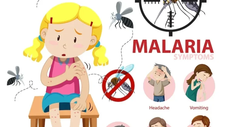 Pemanfaatan Tanaman Obat Tradisional untuk Gejala Malaria