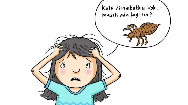 Kutu Rambut Berasal dari Mana? Ini Fakta Sebenarnya