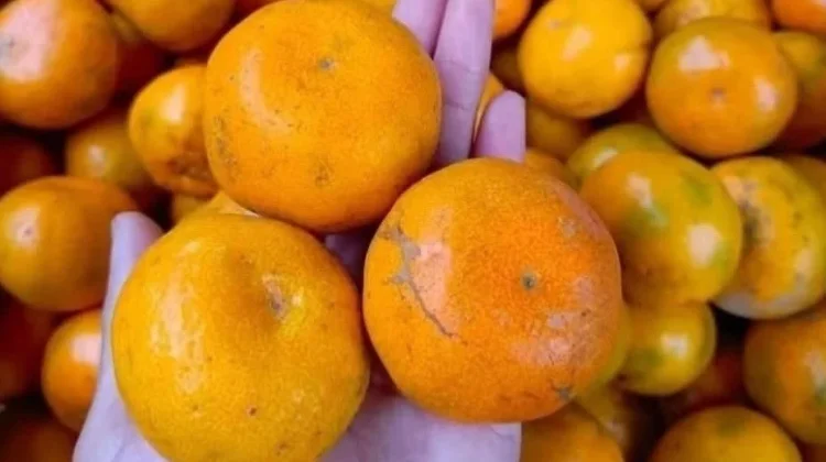Makanan yang Sebaiknya Dihindari saat Sahur agar Perut Aman