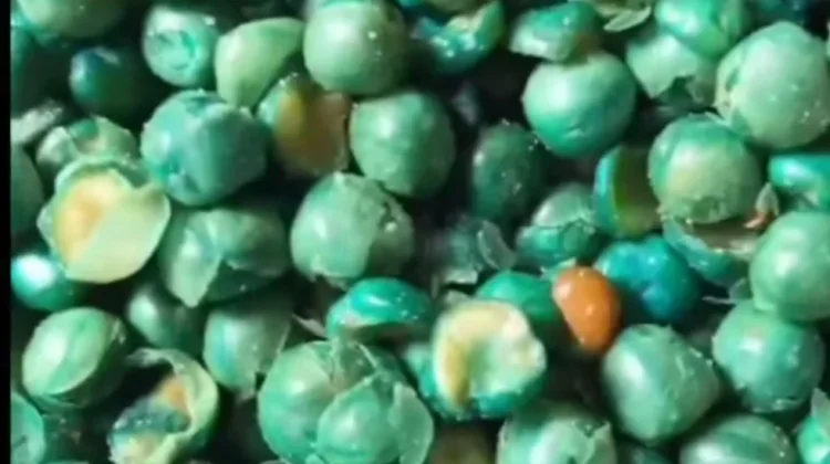 Kacang Polong untuk Jaga Kesehatan Tuhuh