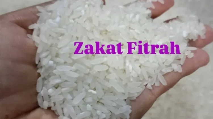 Mengapa Umat Islam Diwajibkan Membayar Zakat Fitrah