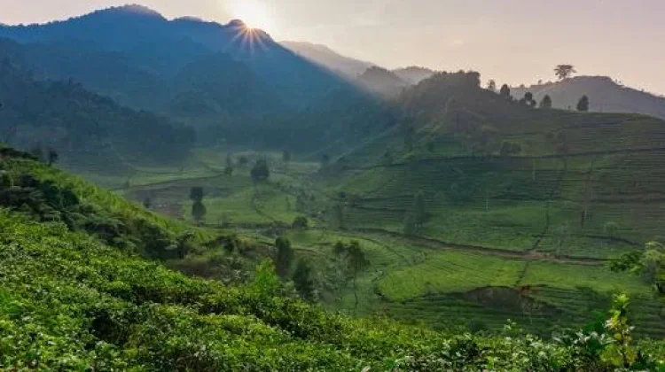 Mengenal Gunung Burangrang di Jawa Barat