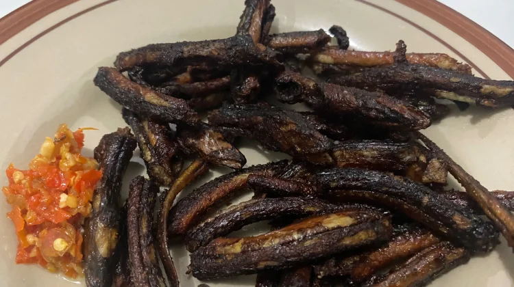 Lezat dan Bergizi, Ini Manfaat Belut untuk Kesehatan