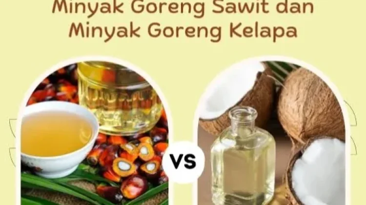 Minyak Kelapa vs Minyak Sawit: Mana yang Lebih Baik untuk Dapur Mama?