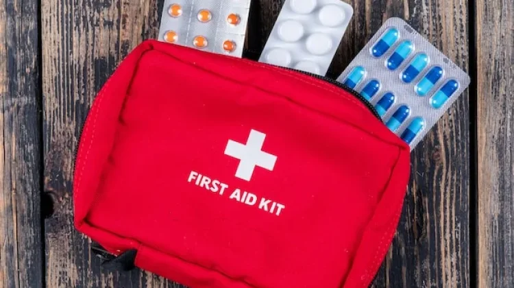 Obat-Obatan Penting yang Wajib Dibawa saat Mudik