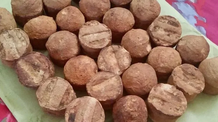 Manfaat Gambir untuk Kesehatan, Herbal Tradisional Kaya Khasiat