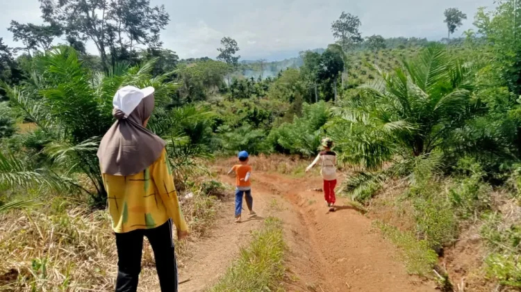 Manfaat Sinar Matahari bagi Kesehatan