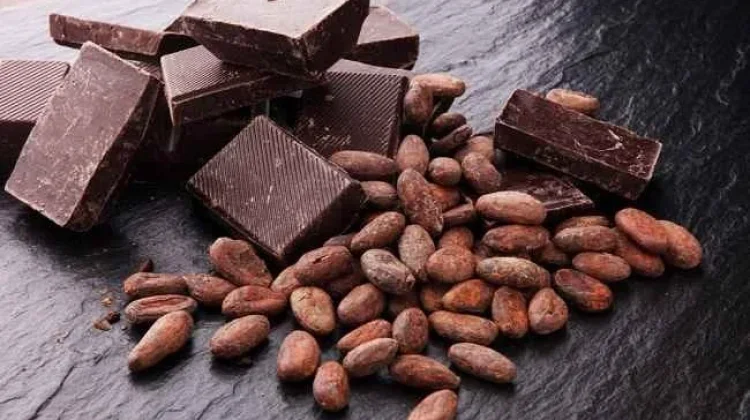 Manfaat Mengkonsumsi Cokelat