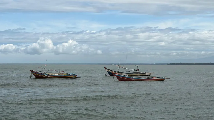 Nelayan Bengkulu Keluhkan Hasil Tangkapan Menurun, Diduga akibat Praktik Penangk