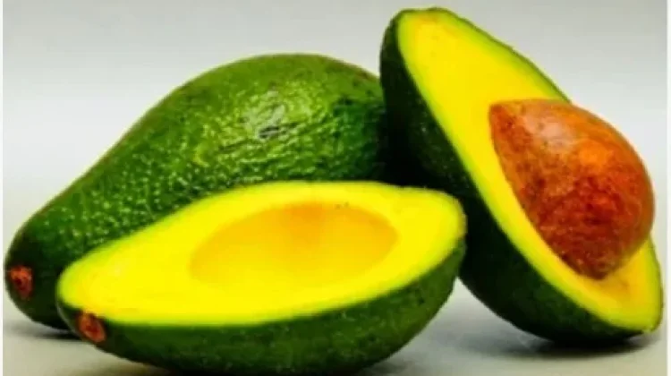 Alpukat, Buah dengan Kandungan Lemak Tertinggi yang Justru Menyehatkan