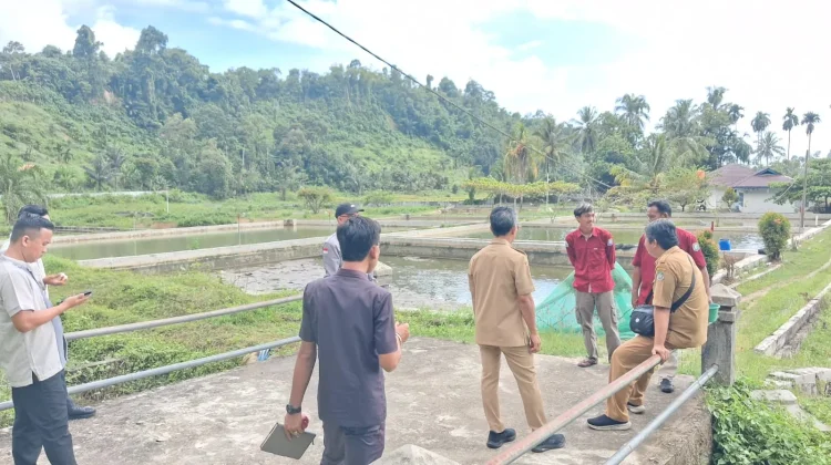 Pemkab Kaur Akan Optimalkan Balai Benih Ikan Di Kecamtan Nasal