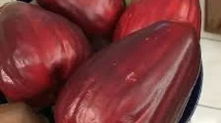 Jambu Jamaika, Buah Eksotis dengan Rasa Manis Segar yang Kaya Manfaat