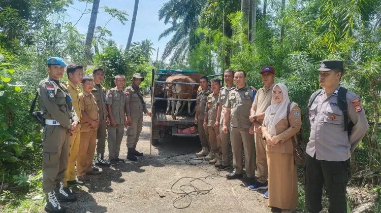 Kecamatan Luas Dukung Upaya Penertiban Hewan Ternak