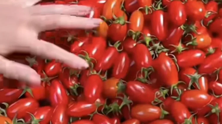 Jaga Kesehatan Kulit dengan Konsumsi Tomat Cherry