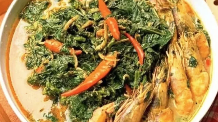 Resep Gulai Daun Singkong Teri- Udang