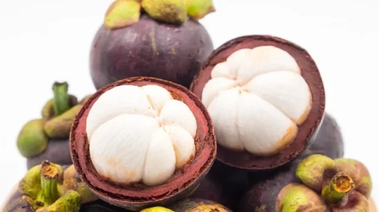 Rahasia Warna Ungu pada Buah Manggis Sebagai Ratu Buah dari Tropis