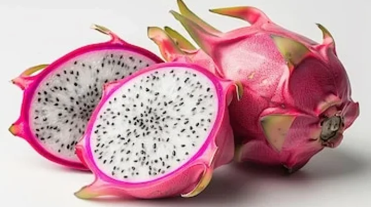 Karakteristik Buah Naga yang Berasal dari Spesies Tanaman Kaktus Merambat