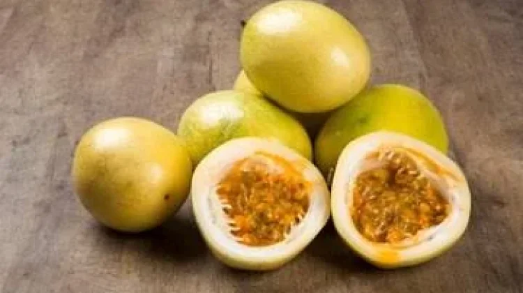 Rahasia Buah Markisa yang Memiliki Nama Berdasarkan Makna Religius Kuno