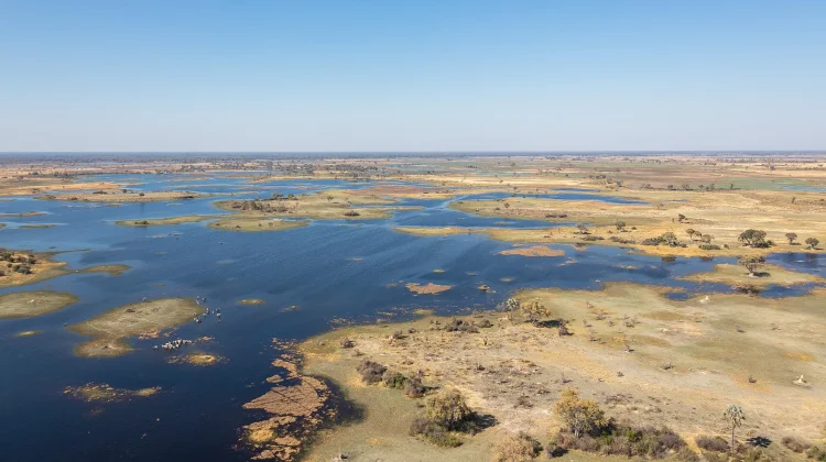 Menyingkap Pesona Luas Delta Okavango di Jantung Botswana