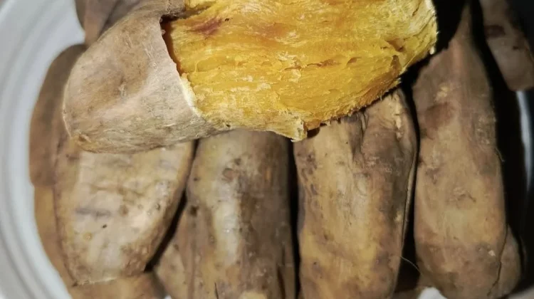 Khasiat Konsumsi Ubi Cilembu