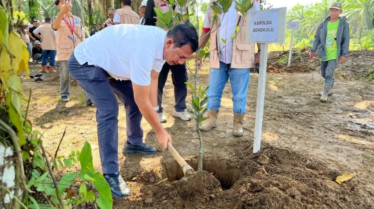MAPEL Bengkulu Tanam 1.000 Pohon untuk Restorasi DAS dan Penyelamatan Lingkungan