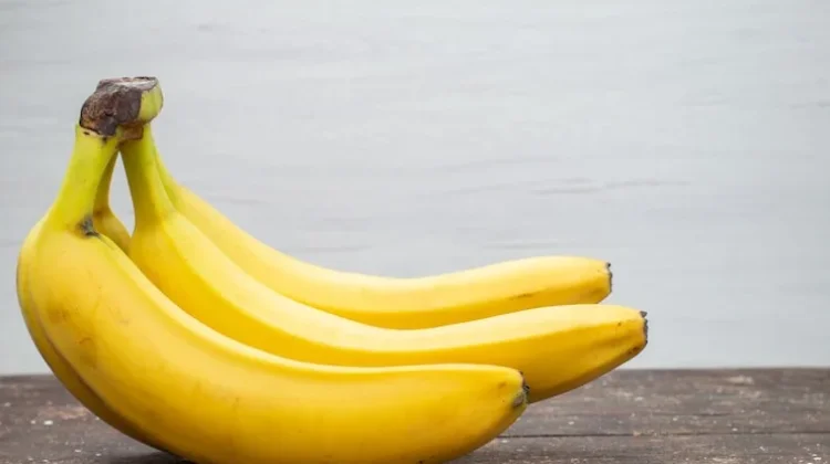 Manfaat Kesehatan dan Potensi Ekonomi Budidaya Pisang