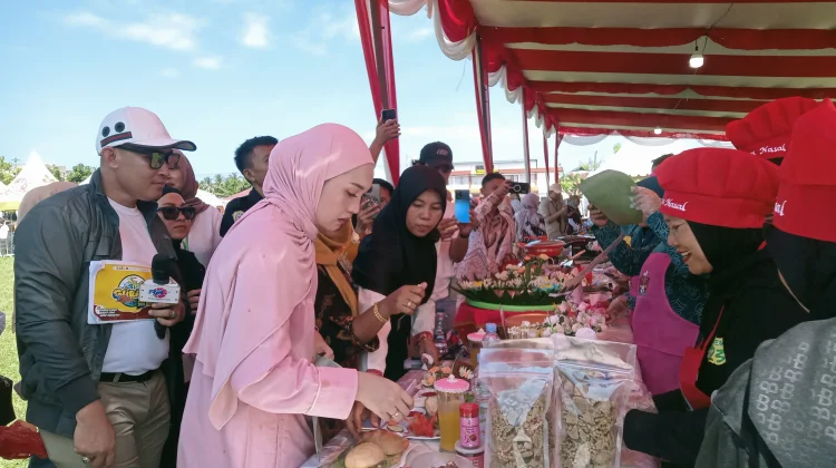 Potensi Gurita Kaur Dinilai Sangat Potensial untuk Dikembangkan
