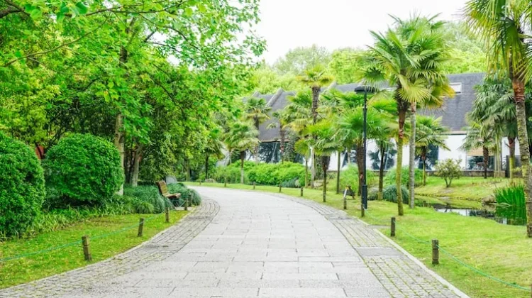 Peran Penting Ruang Terbuka Hijau bagi Kualitas Hidup Urban