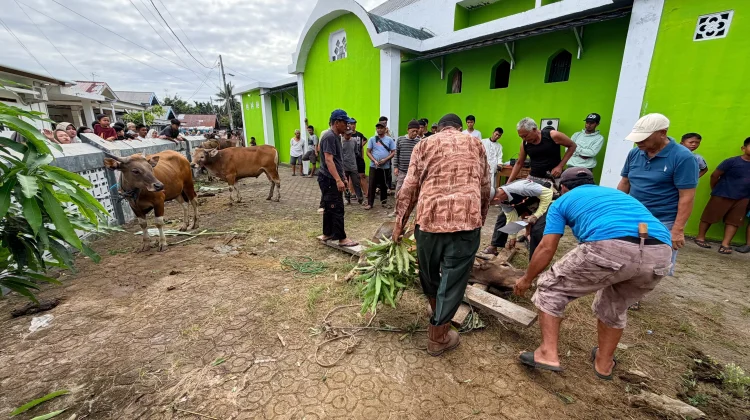 Masjid Sabililhaq Lempuing Sembelih Enam Ekor Sapi Kurban untuk Warga