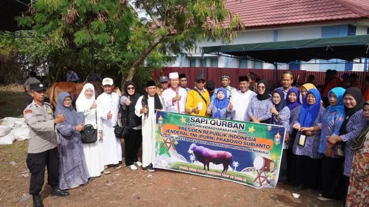 Masjid Baitul Makmur Sumber Jaya Sembelih 12 Ekor Sapi, Termasuk Bantuan Presiden