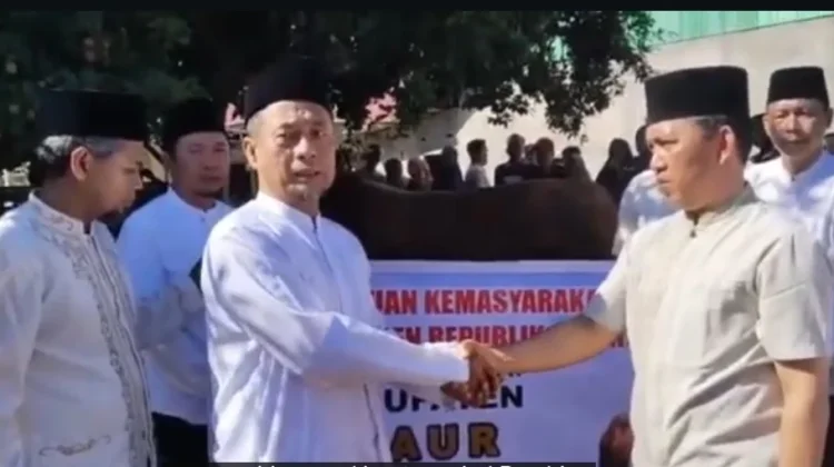 Asisten III Pemkab Kaur Serahkan Sapi Qurban Dari Presiden RI Ke Desa Kaur Utara