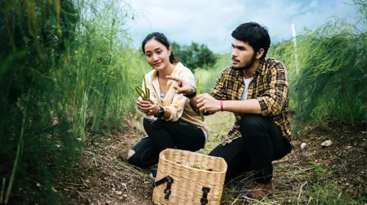 Menantang Arus Urbanisasi lewat Pemberdayaan Ekonomi Desa