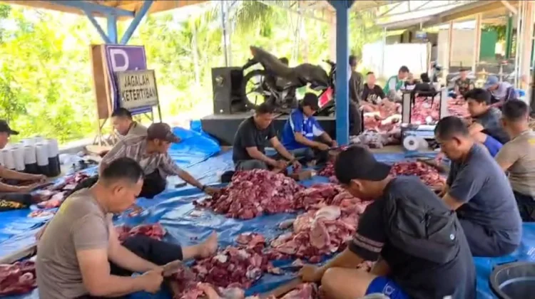 Semangat Gotong Royong Warnai Pemotongan Hewan Kurban di Polres Seluma